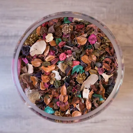 Διαμέρισμα Queen